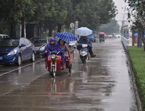 今晨我市迎來降雨