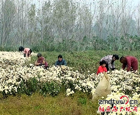 上蔡縣李宣村精準(zhǔn)扶貧帶領(lǐng)村民脫貧致富