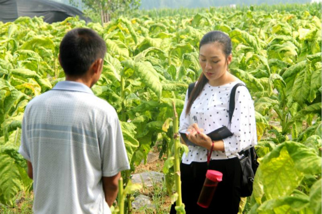 薛桂蕊：扎根基層心系百姓 脫貧攻堅(jiān)爭(zhēng)做先鋒模范