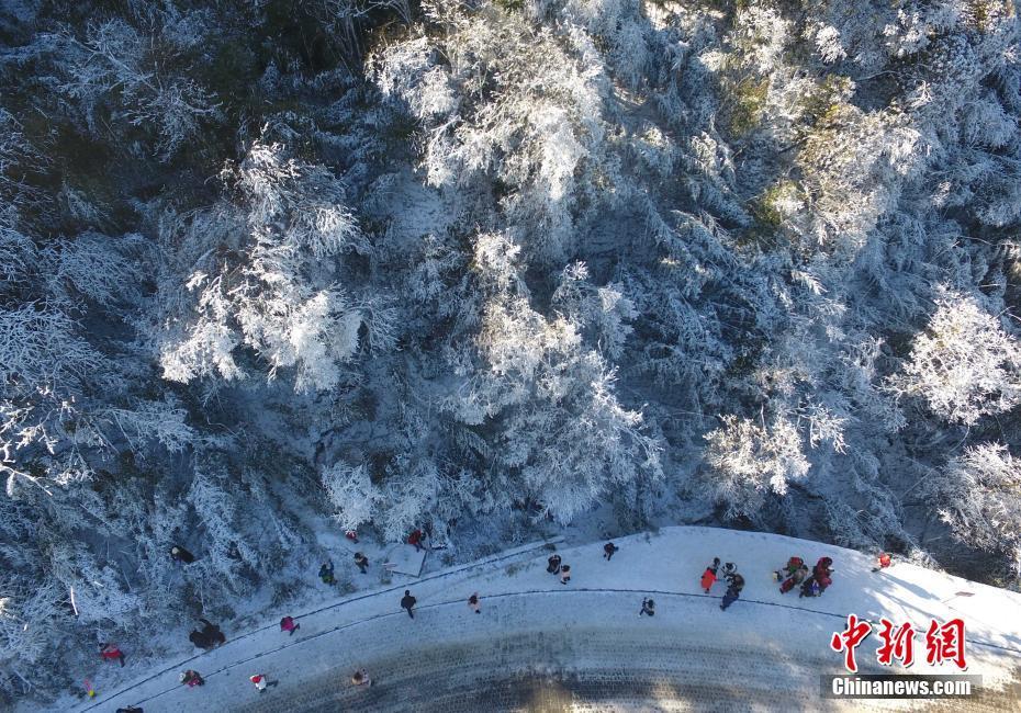 12月20日，重慶金佛山銀裝素裹雪景美如畫，吸引了不少游客前來觀賞。當日，第19屆金佛山冰雪節(jié)正式開幕。 陳超 攝