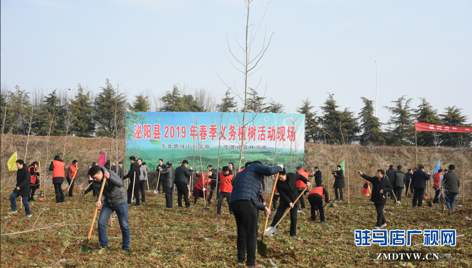 泌陽縣2019年春季義務(wù)植樹活動啟動