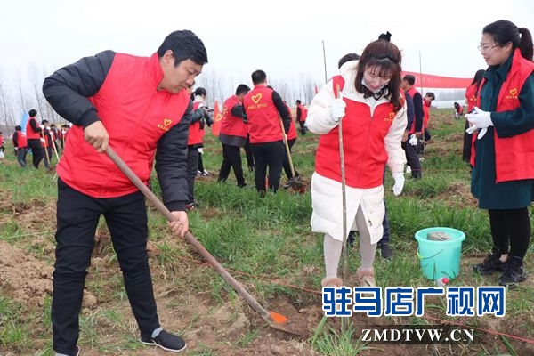 團市委開展“綠風尚”春季義務植樹活動