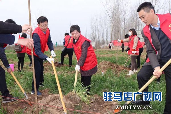 團市委開展“綠風尚”春季義務植樹活動