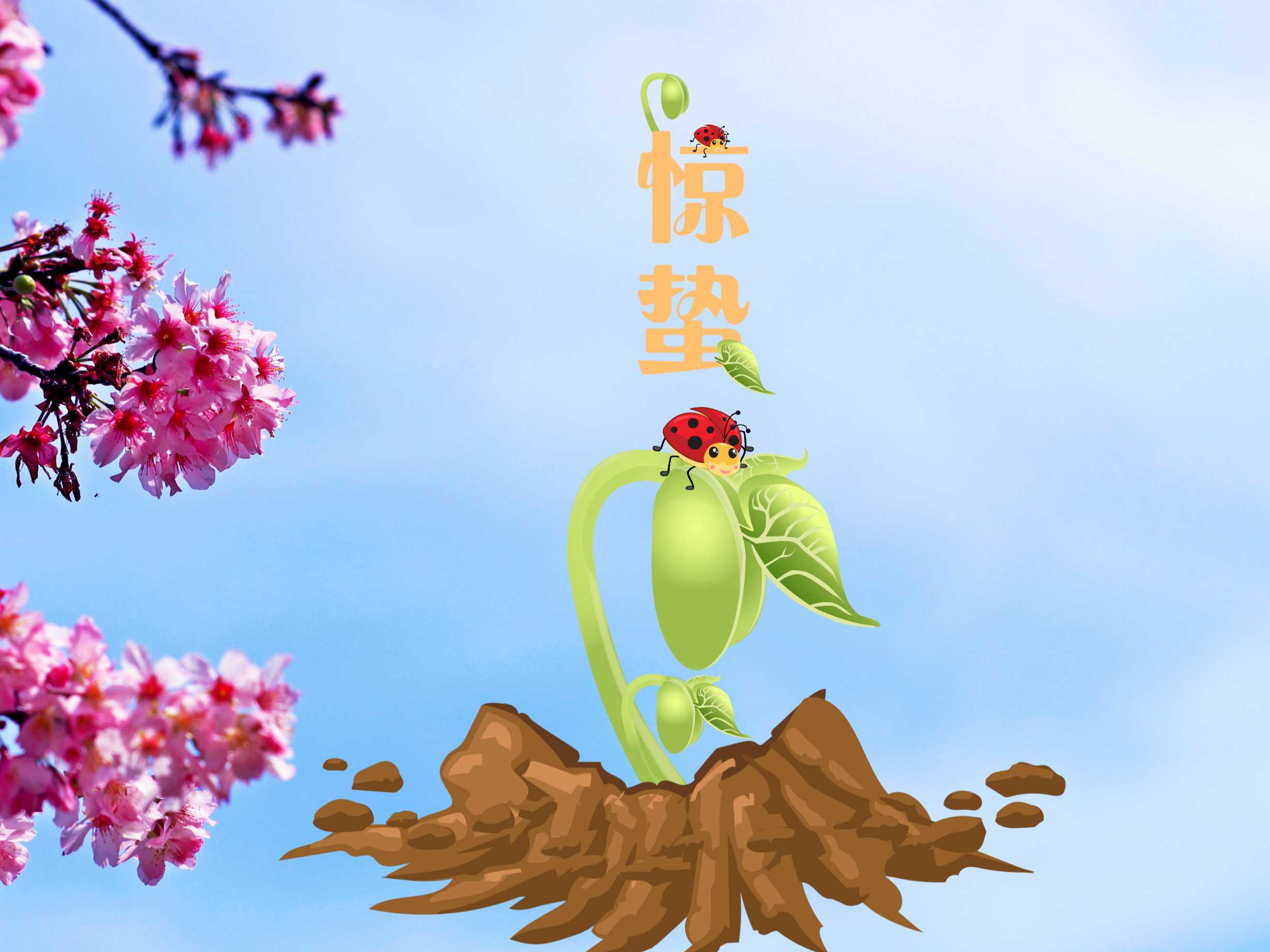 “善變”的驚蟄來(lái)了！防蟲(chóng)“十八般武藝”你Get了嗎？