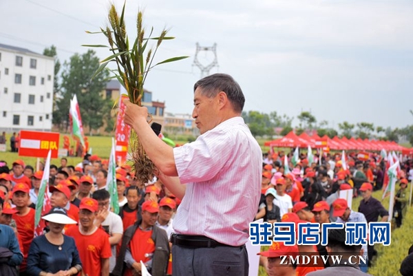 正陽千余農(nóng)民麥田選秀