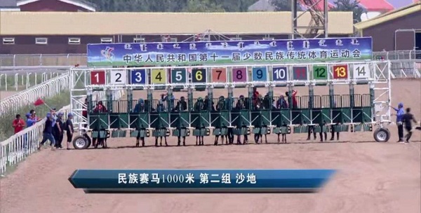 亮馬圈、彩衣、閘廂……記者盤點速度賽馬賽前看點