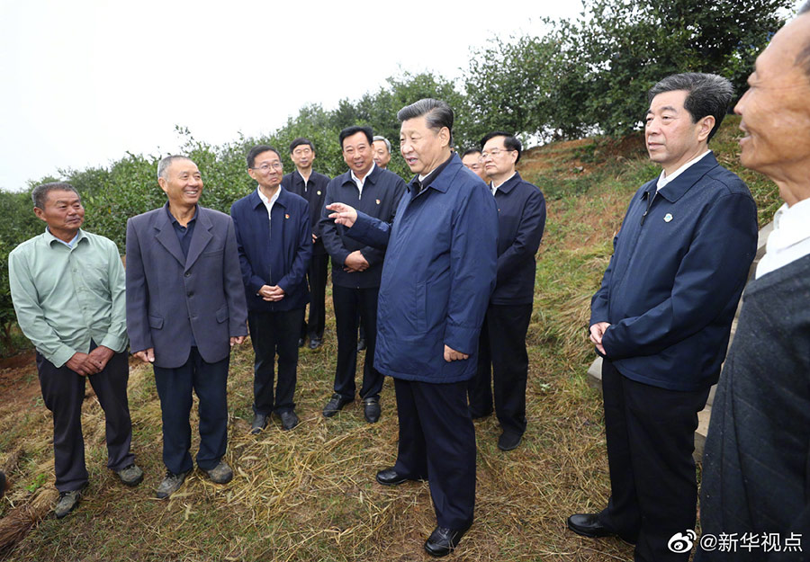 習(xí)近平在光山縣深入油茶園和農(nóng)村考察調(diào)研