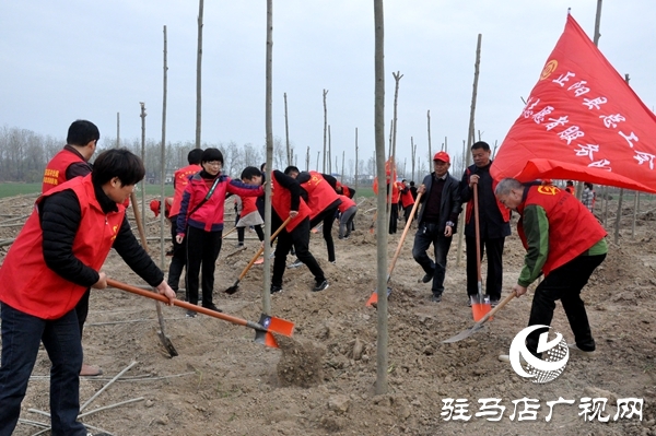 正陽(yáng)縣開(kāi)展秋冬添新綠義務(wù)植樹(shù)活動(dòng)