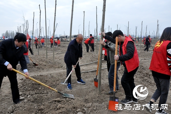 正陽(yáng)縣開(kāi)展秋冬添新綠義務(wù)植樹(shù)活動(dòng)