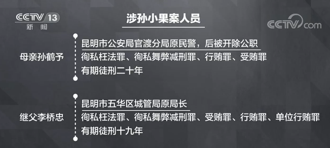新聞1＋1丨一個“孫小果”，一群“保護傘”！-中新網(wǎng)