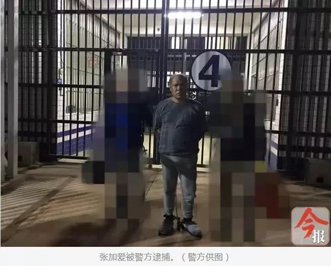 年底陸續(xù)領(lǐng)死刑的“黑老大”：多人身背命案、背后有“保護(hù)傘”