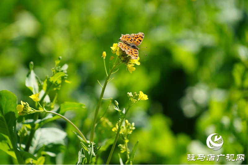 我們堅守，為了早日重逢