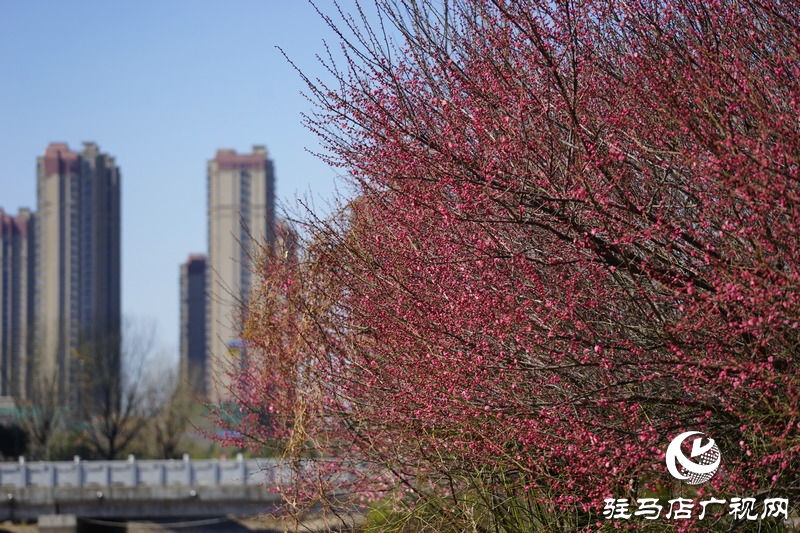 再次與自己約定，閉門不出