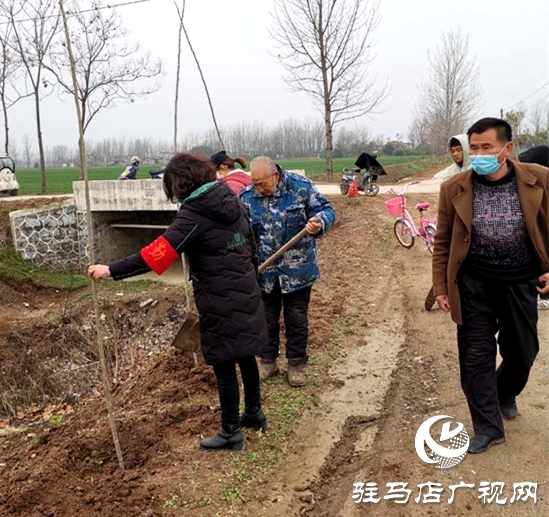 汝南縣三橋鎮(zhèn)搶抓時(shí)機(jī)忙植樹(shù)