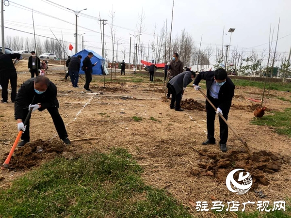 上蔡縣黃埠鎮(zhèn)70余名干部職工開展義務(wù)植樹活動(dòng)