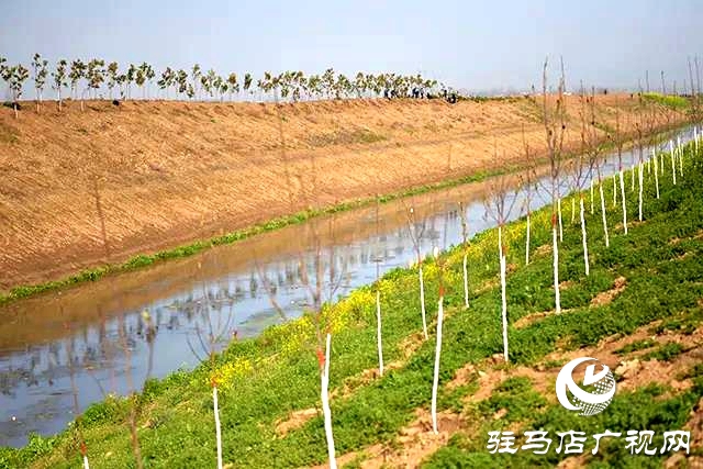 上蔡縣召開去冬今春國(guó)土綠化觀摩評(píng)比會(huì)