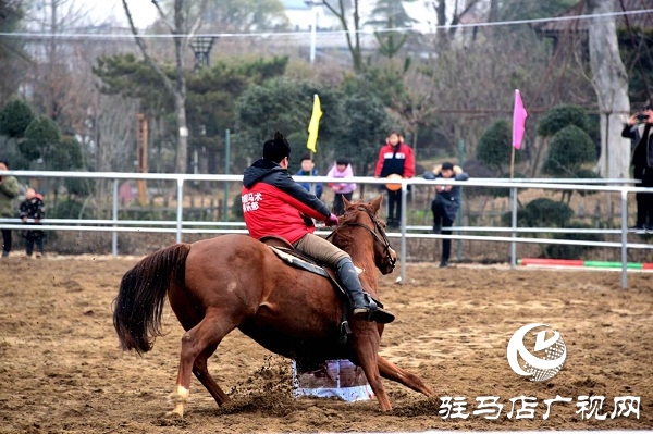 角子山下馬場里體驗(yàn)策馬奔騰的激情