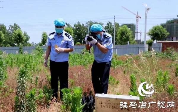 五一勞動(dòng)節(jié):向堅(jiān)守崗位的勞動(dòng)者致敬,你們忙碌的身影最美麗！