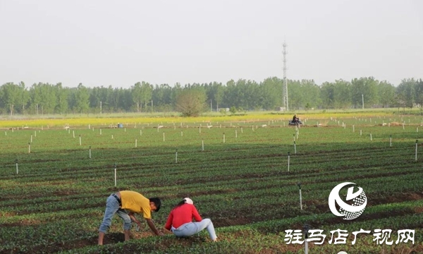 五一勞動(dòng)節(jié):向堅(jiān)守崗位的勞動(dòng)者致敬,你們忙碌的身影最美麗！