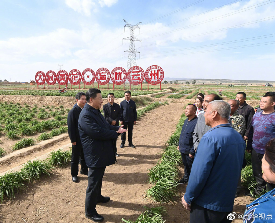 習(xí)近平：讓黃花成為群眾脫貧致富的“搖錢草”