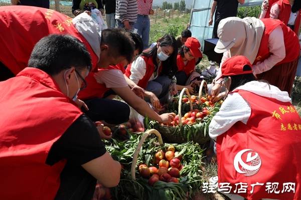 黨員為農產品代言，政協(xié)助力脫貧攻堅 