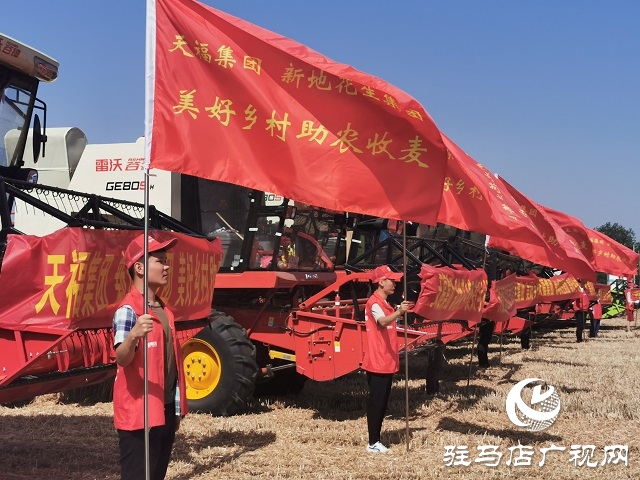 天福、新地花生集團(tuán)助農(nóng)收麥忙 三夏時(shí)節(jié)確保顆粒歸倉(cāng)