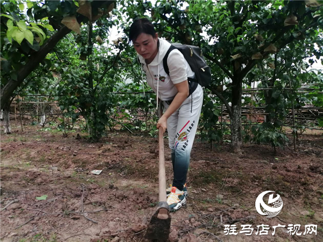 “好鈣肥、北沃造”——北沃農(nóng)業(yè)打造“鈣肥航母”