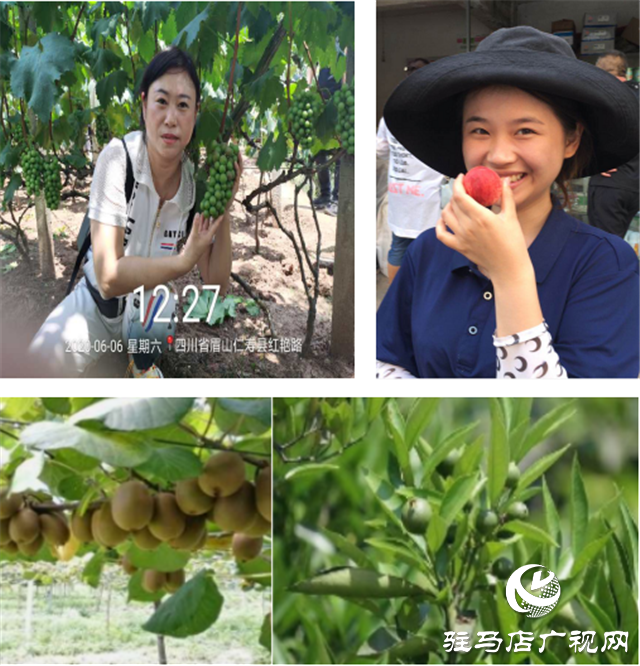 “好鈣肥、北沃造”——北沃農(nóng)業(yè)打造“鈣肥航母”