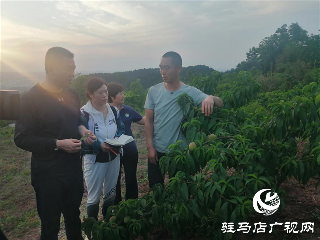 “好鈣肥、北沃造”——北沃農(nóng)業(yè)打造“鈣肥航母”