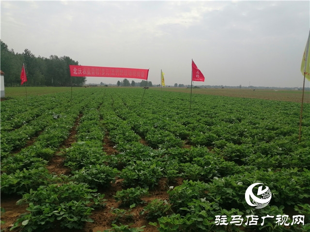“好鈣肥，北沃造”——北沃農(nóng)業(yè)全國(guó)系列回訪第二站
