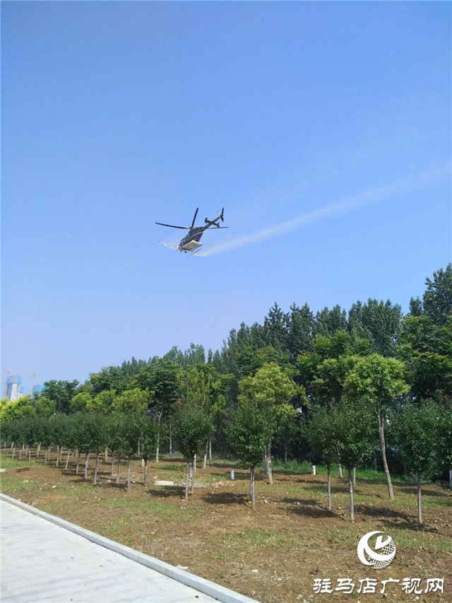 泌陽縣實施飛機噴灑防治美國白蛾和楊樹食葉害蟲