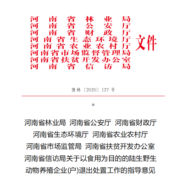 河南八部門聯(lián)合發(fā)文 這些以食用為目的的在養(yǎng)陸生野生動(dòng)物9月底將全面退出