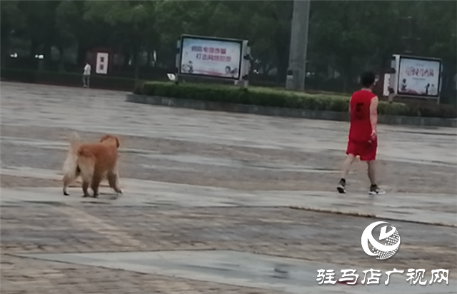 駐馬店：初秋天微涼 晨練正當時