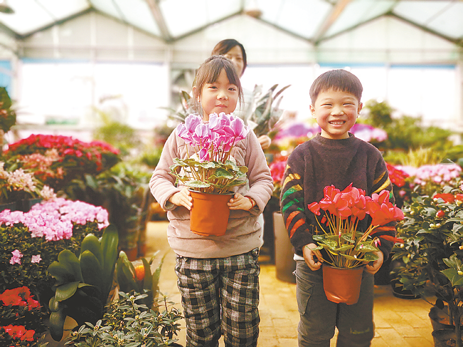 駐馬店：花卉市場春意濃 時尚消費迎新年