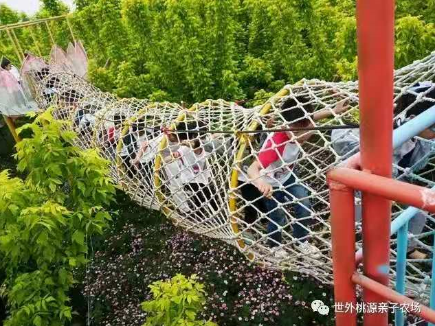 今年春節(jié)親子游都去的打卡地！門票免費(fèi)送！