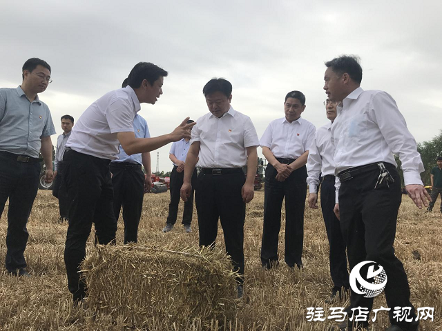 河南省副省長(zhǎng)陳星深入驛城區(qū)調(diào)研指導(dǎo)“三夏”工作
