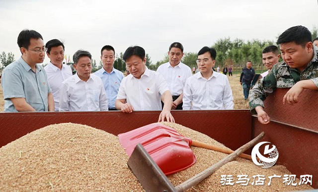 河南省副省長(zhǎng)陳星深入驛城區(qū)調(diào)研指導(dǎo)“三夏”工作