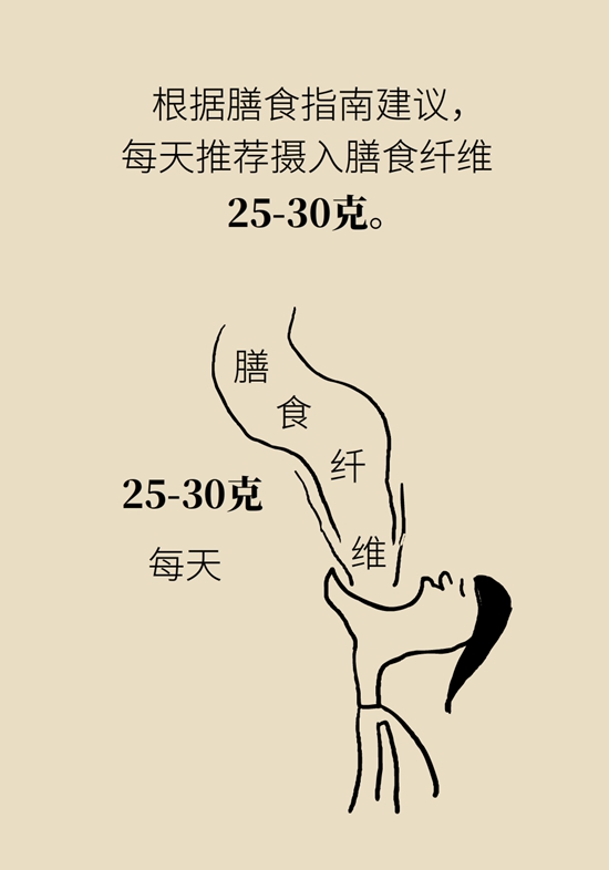 真的有越吃越瘦的食物？這些高纖維食物了解一下