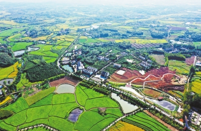 你好，小康丨光山縣東岳村：田園多彩 電商下鄉(xiāng)