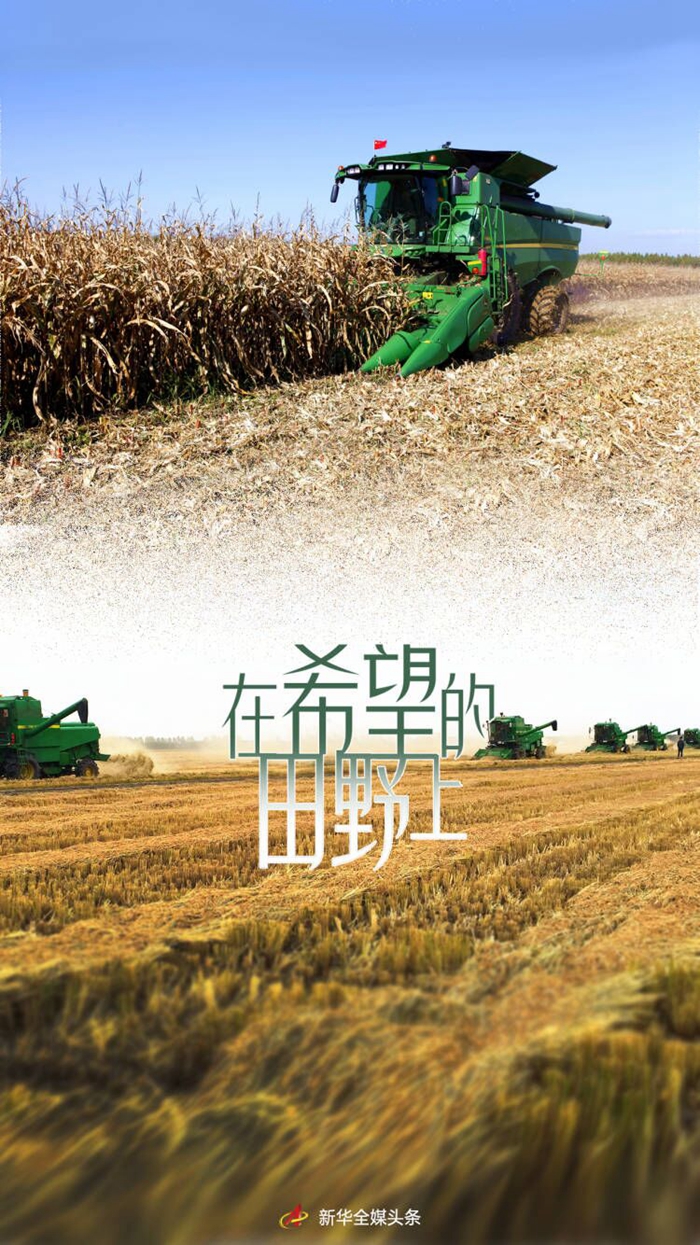 在希望的田野上—— “東北糧倉”讓“中國飯碗”端得更牢