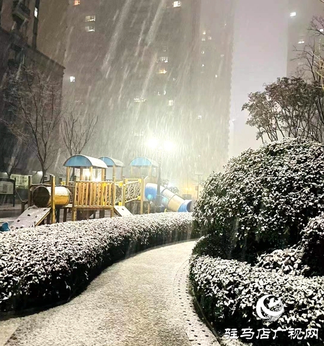 河南駐馬店：寒冬初雪時(shí)