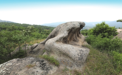 南陽(yáng)發(fā)現(xiàn)遠(yuǎn)古文明大量遺址遺跡的歷史定位及其時(shí)代價(jià)值探析