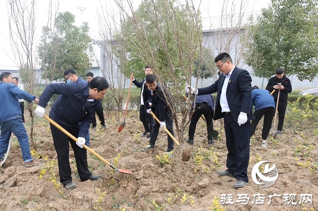 駐馬店弘康環(huán)保公司舉行植樹活動(dòng)