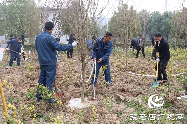 駐馬店弘康環(huán)保公司舉行植樹活動(dòng)