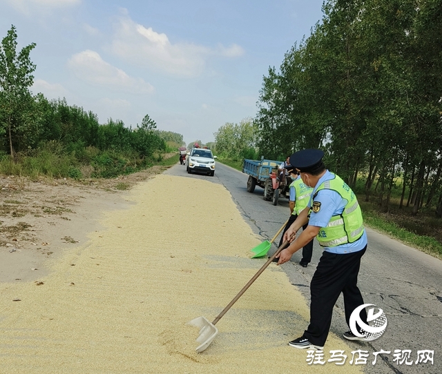 正陽縣交通運輸局對占用公路“打場曬糧”現象進行整治