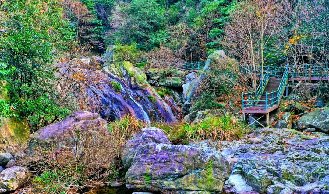 西九華山秋景醉人——紅葉碧竹映射“醉美”深秋！