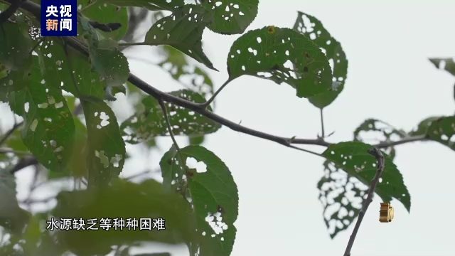 電視專題片《永遠(yuǎn)吹沖鋒號(hào)》第二集《政治監(jiān)督》