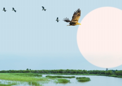 天高展翅任鳥飛 此地安家日月長