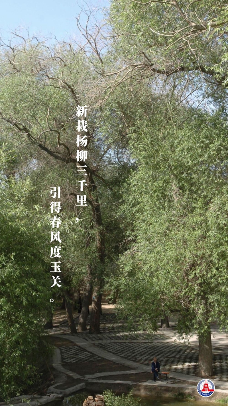 新華全媒+丨植樹(shù)傳統(tǒng)，從古詩(shī)中走來(lái)