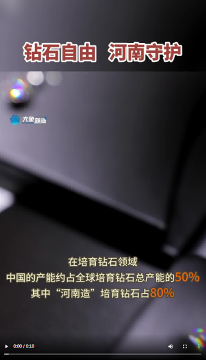 鉆石自由 河南守護